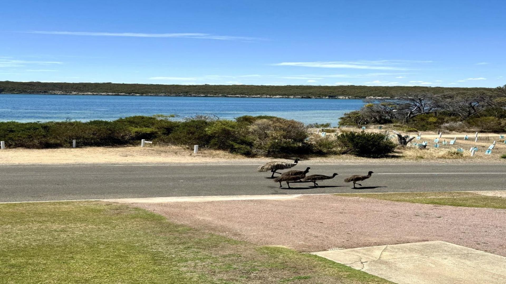 White Springs, Our Peaceful Holiday House In Coffin Bay Екстер'єр фото